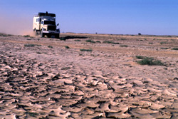 Westsahara, Algerien: Algerien: Expedition Hoggar, Tassili und Tadrart - Dürre