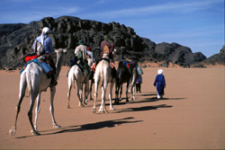Westsahara, Algerien: Algerien: Kamel-Karawane am Tassili-Plateau - Mit Kamelen durch die Sahara