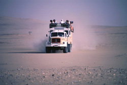 Westsahara, Algerien: Algerien: Expedition Hoggar, Tassili und Tadrart - Maggi in der Sandwüste